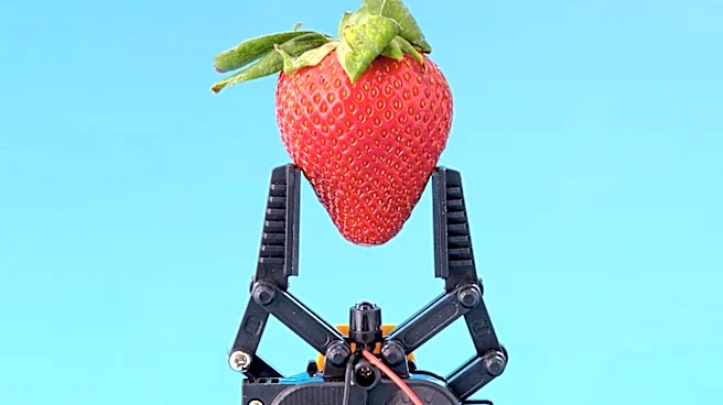 TRIC Robotics Expands UV-C Robot Deployment for Strawberry Pest Control in California