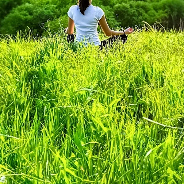 Nature-Based Wellness Practices Offer Mental and Physical Health Benefits