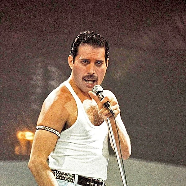 Mary Austin Recalls Freddie Mercury's Last Words and Relationship Insights