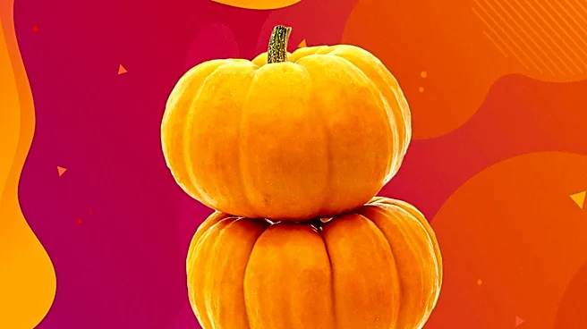 Halloween Card Crafting Features 'Primitive Pumpkins' Stamp Set