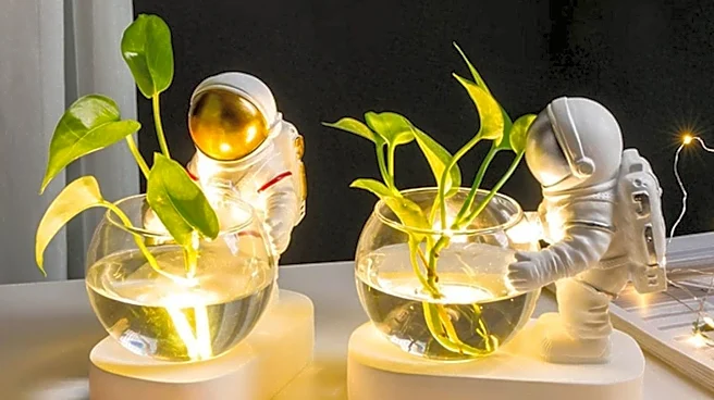 Hydroponic Gardens Offer Low-Maintenance Solution for Frequent Travelers