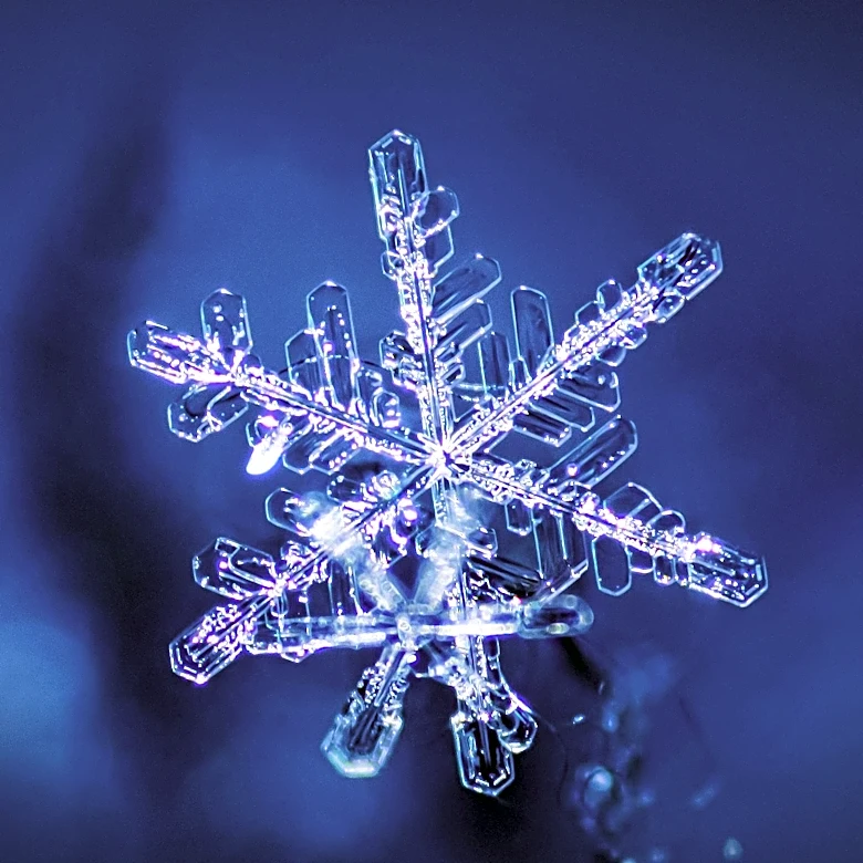 Snowflake Raises Annual Revenue Forecast Amid Strong AI Product Adoption, Shares Soar