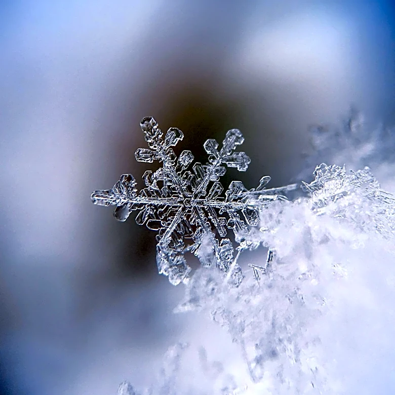 Snowflake Shares Surge 22% Following Strong Earnings and Guidance
