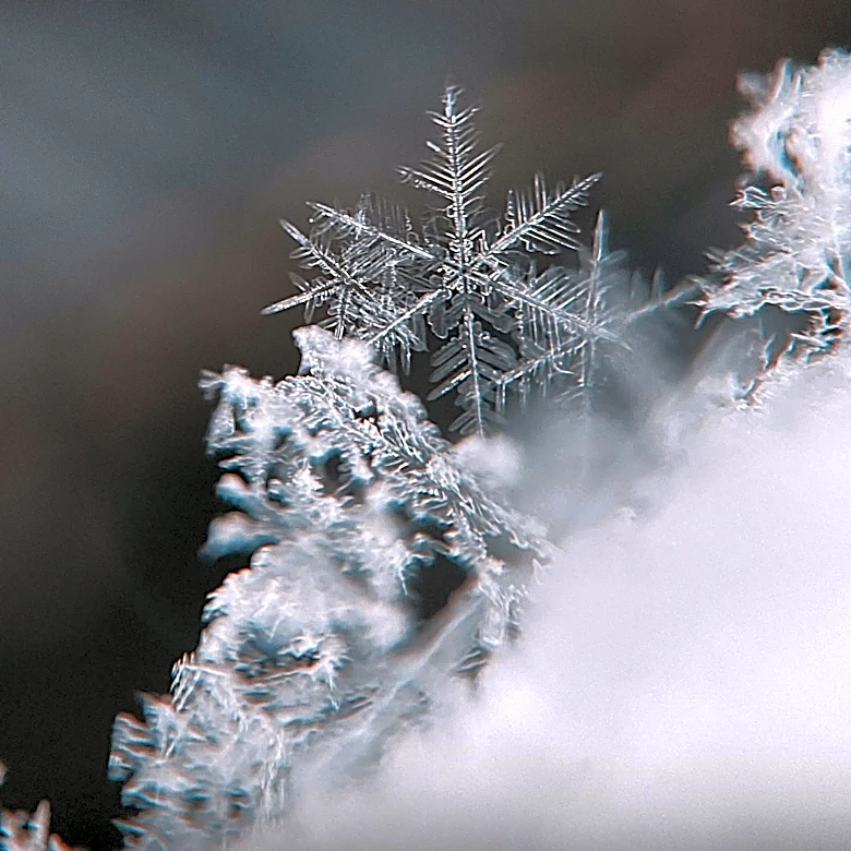 Snowflake Reports Significant Q2 Revenue Surge Driven by AI Demand