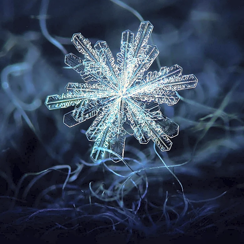Snowflake Stock Surges Following Strong Earnings Report and Analyst Upgrades