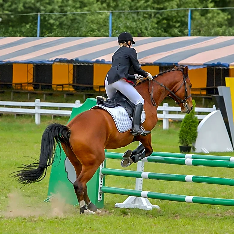 Northampton Hunter Jumper Horse Show Revived by New Management