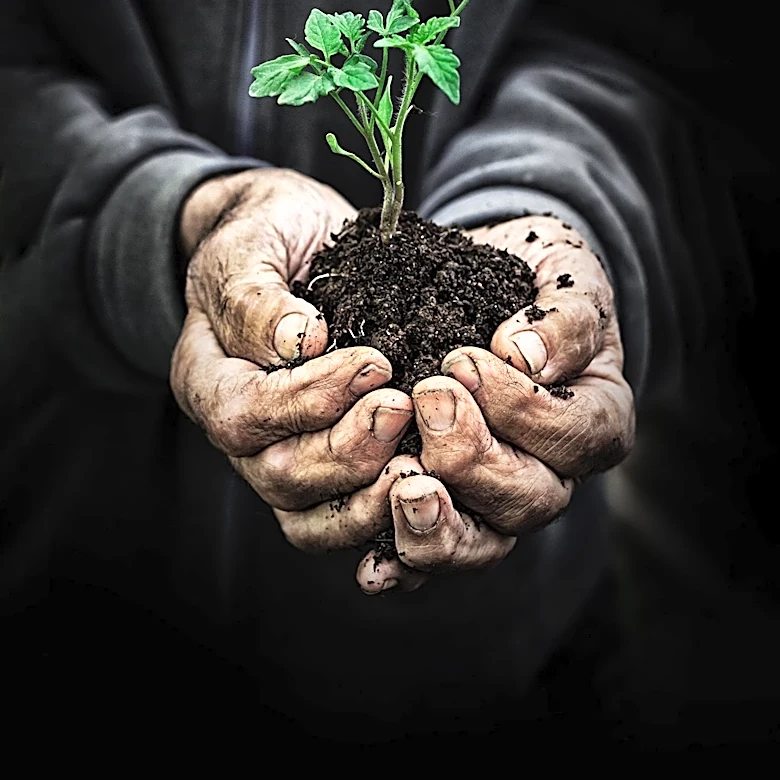 FirstEnergy Corp. Supports Hunger Relief Initiative with $5 Million in Grants Across Six States