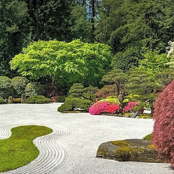 Gravel Gardens Offer Sustainable, Low-Maintenance Landscaping Solutions for U.S. Homeowners