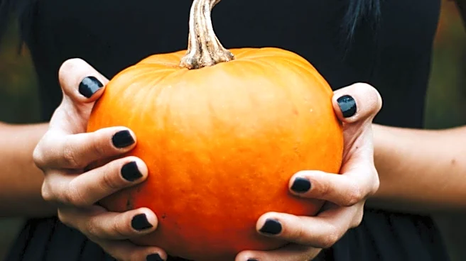Band Wednesday Announces 'Mr. Rat’s Haunted Corn Maze' Halloween Bash in Asheville, NC