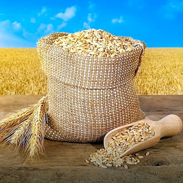 Cal-Maine Foods Faces Downgrade to 'Hold' Amid Rising Feed Costs