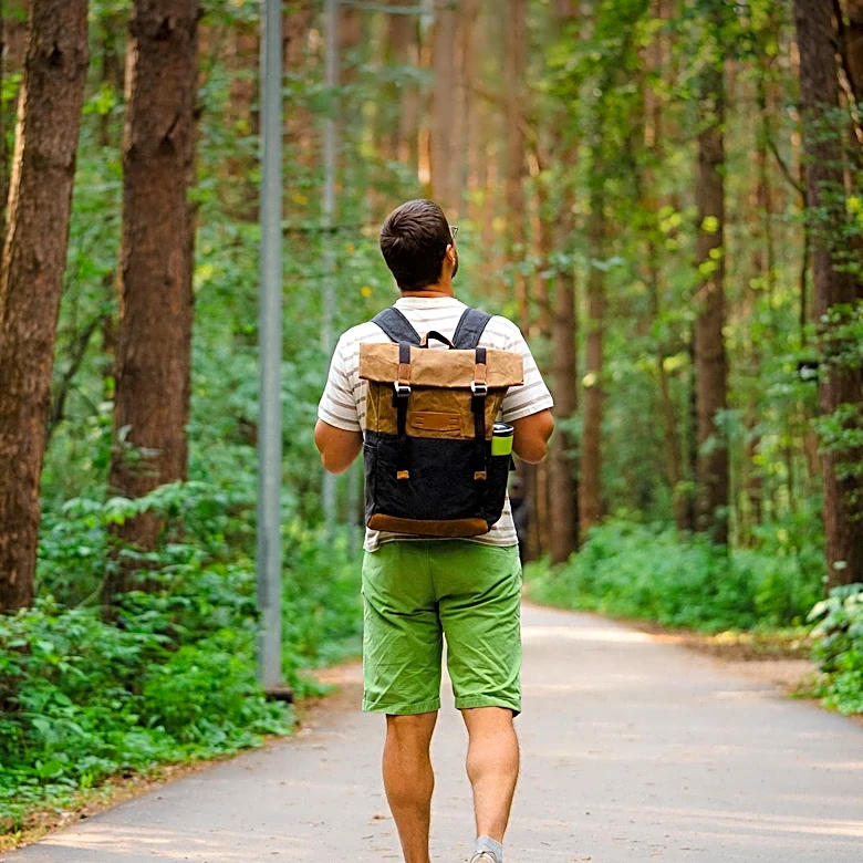 Research Suggests Nature Walks Benefit Even Healthy Individuals, Beyond Stress Reduction