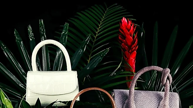 Newport Beach College Student Launches Successful Affordable Luxury Handbag Company