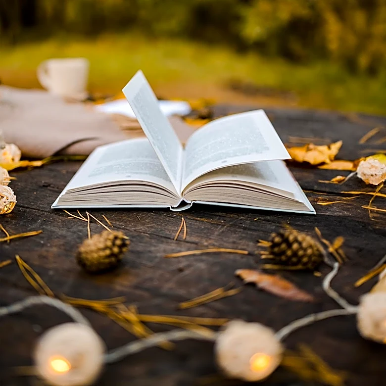 TJ Maxx Offers Book-Themed Fall Decor for Cozy Reading