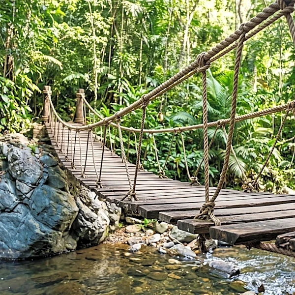 NBCUniversal Orders U.S. Reboot of British Hit 'I'm A Celebrity... Get Me Out of Here'
