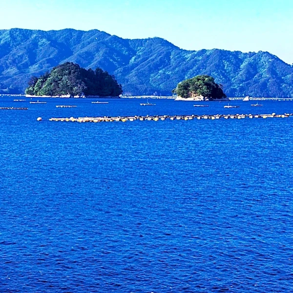 Kingfish Aquaculture Project in Jonesport, Maine, Placed on Indefinite Hold Due to Unfavorable Conditions