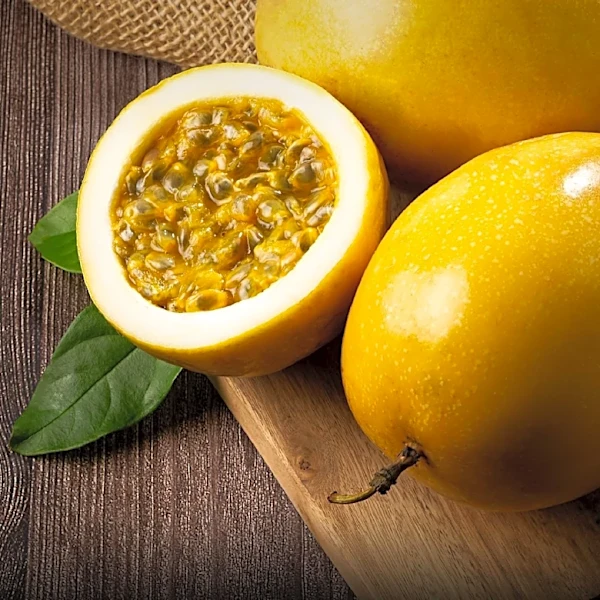 Yellow Passion Fruit Plant Offers Edible Fruit and Fast Growth for Gardens