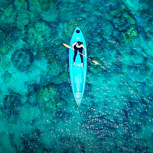 Florida Offers Diverse Kayaking Experiences Across Numerous Springs and Coastal Waters