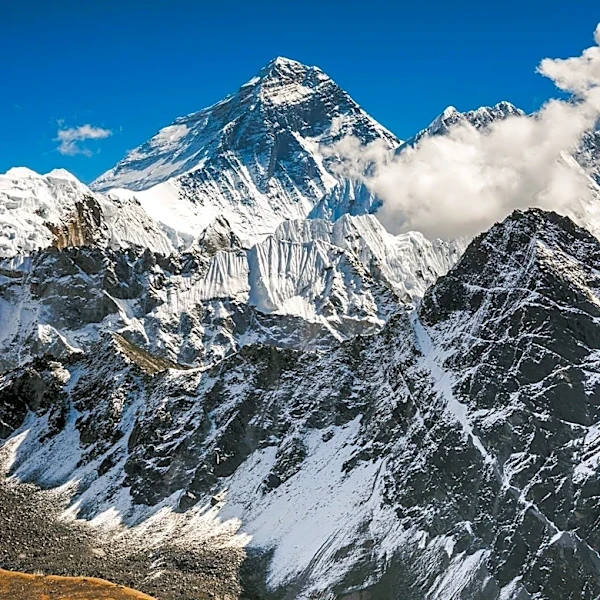 Rescue Cat Simon Prepares for Everest Base Camp After Conquering Colorado's 14ers