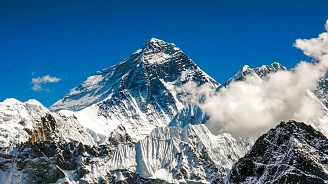 Rescue Cat Simon Prepares for Everest Base Camp After Conquering Colorado's 14ers