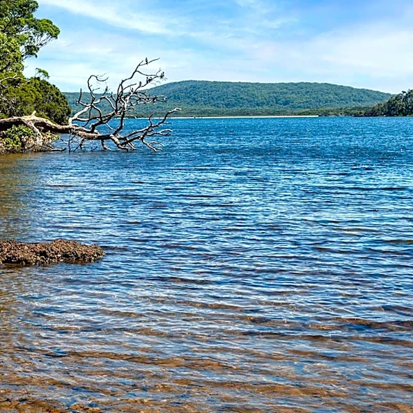 Spavinaw, Oklahoma, Offers Quaint Lake Fun and State Park Beauty as a Weekend Retreat