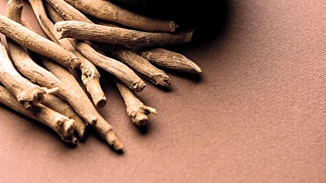 Adaptogens Ashwagandha, Rhodiola, and Ginseng Offer Distinct Wellness Benefits