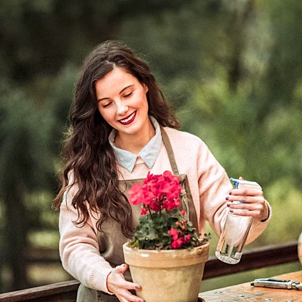 Gardening Experts Advise Specific Care for Christmas Cacti in September to Ensure Holiday Blooms