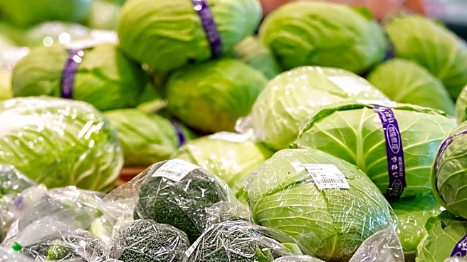 Fresh Del Monte Produce Expands Global Operations with New Financial Accounting Analyst Role