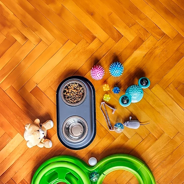 Montpelier's Quirky Pet Store Recognized as Nation's Coolest by PETS+ Magazine