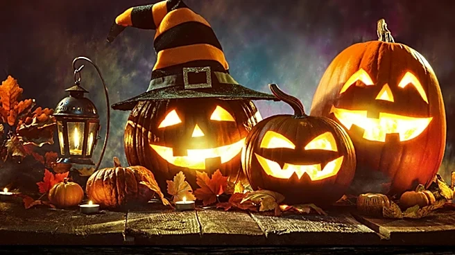Homes Gardens Highlights 24 Halloween Lighting Options for Enhanced Seasonal Decor
