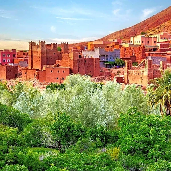 Micro-cations Gain Popularity in MENA Region, Reflecting Shift Towards Flexible Travel