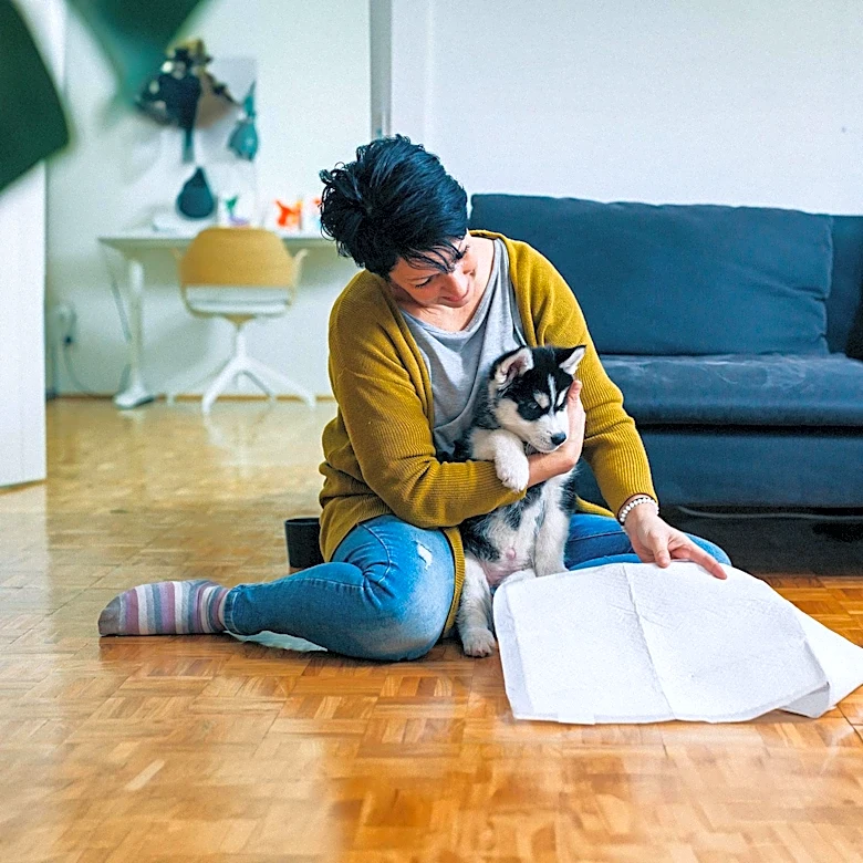 Big Dog Teaches Puppy Impulse Control, Highlighting Canine Training Dynamics