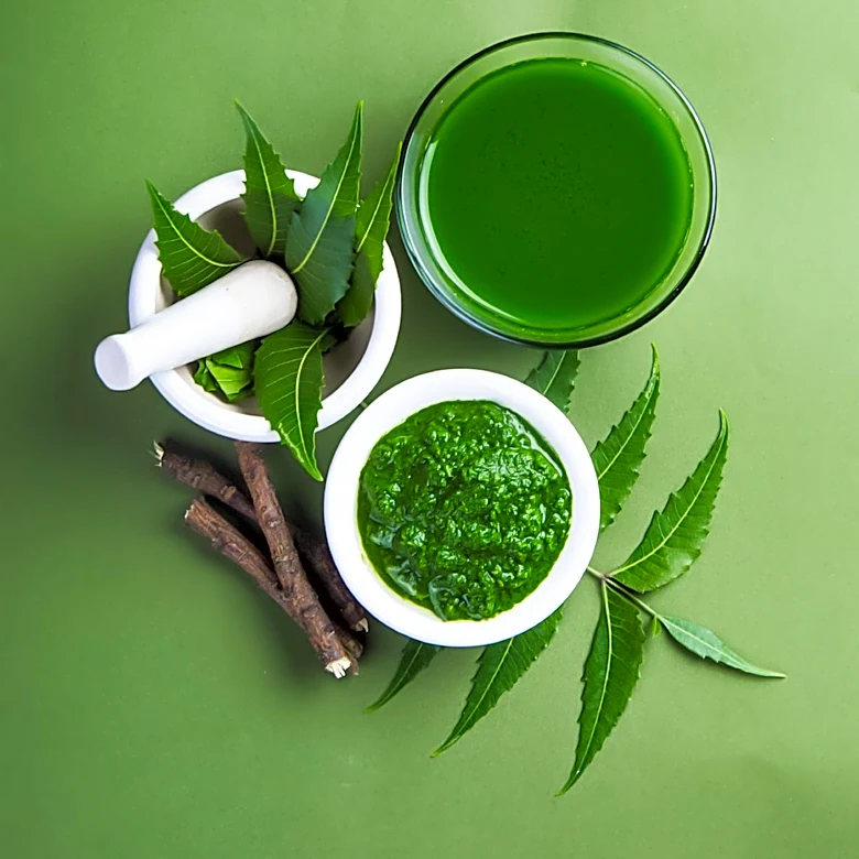 Ayurvedic Contraceptive Pills Offer Natural Alternative, Clinical Efficacy Under Scrutiny