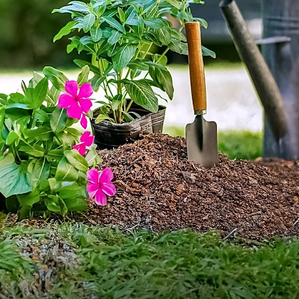 Toilet Paper Tubes Repurposed as Eco-Friendly Garden Mulch