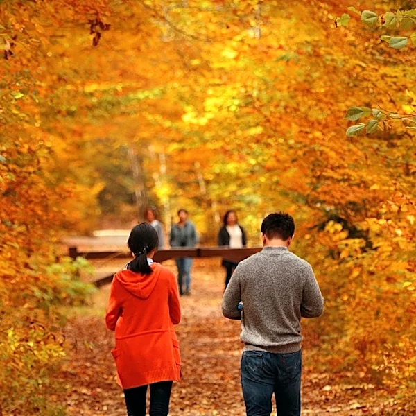 Long Island Offers Diverse Nature Trails for Fall Exploration