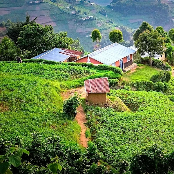 Rwanda Offers Diverse Tourism Experiences Across Three National Parks and Kigali City