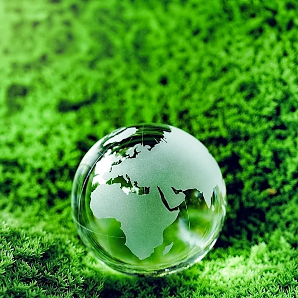 Wharton Study Reveals Financial Impact of Greenhushing and Greenwashing on U.S. Firms' Stock Returns