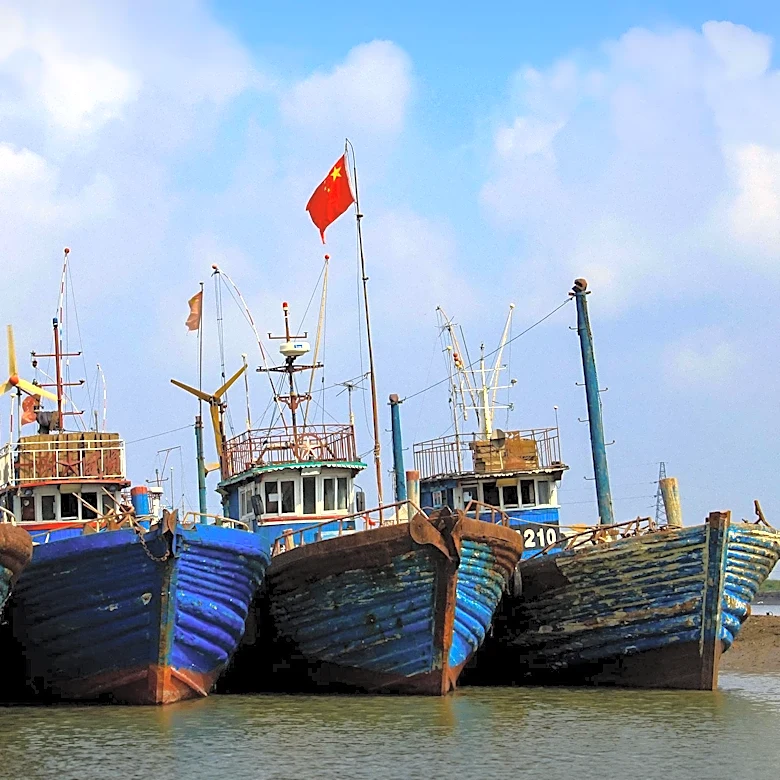 Fujian Zhengguan Begins Construction of China's Largest Krill Fishing and Processing Vessel