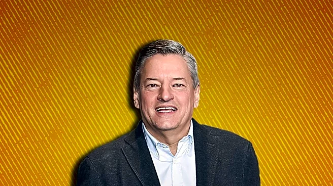 Netflix Co-CEO Ted Sarandos Highlights Platform's 'Vital' Role in French Entertainment Amid Regulatory Disputes