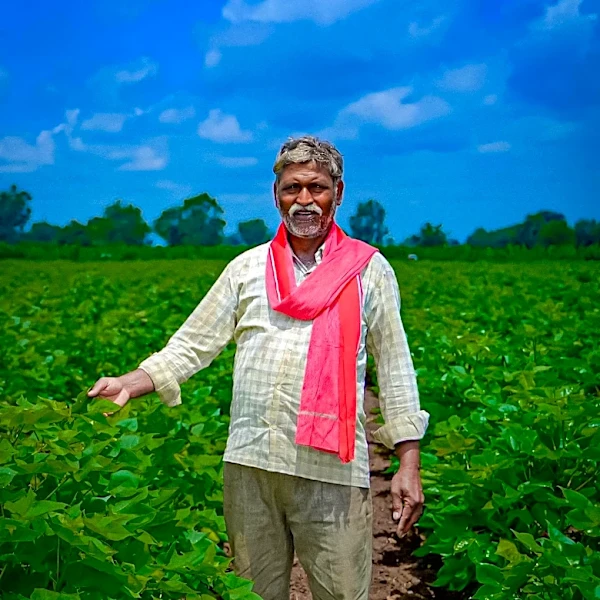 GSK Invests in Regenerative Agriculture Carbon Credits in India to Meet 2030 Emissions Reduction Goal