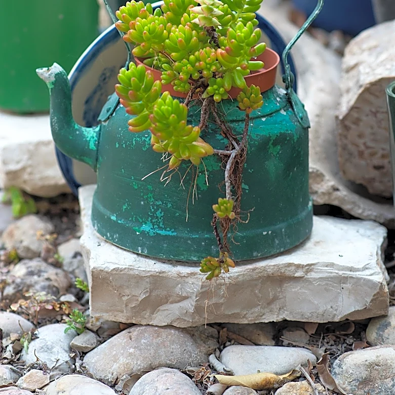 Container Gardening Offers Solutions for Diverse Zone 9 Climates and Soil Challenges