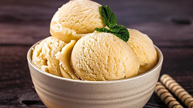 Malted Maple Cookie Dough Custard Ice Cream Emerges as Highly Anticipated Summer Flavor