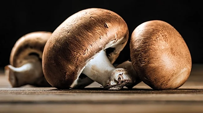 Gourmend Foods Releases Low FODMAP Mushroom Guide for Digestive Health