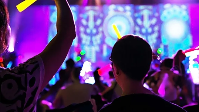 Broccoli City Festival Prioritizes Affordability and Community Engagement in Music Events