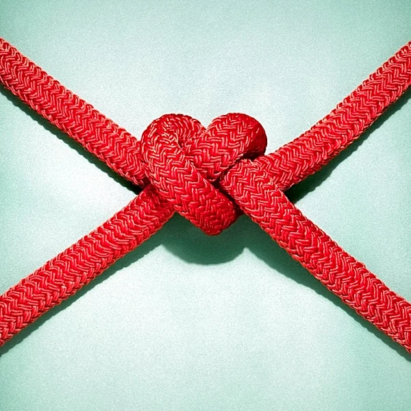 Sternberg's Triangular Theory of Love Outlines Three Core Components for Lasting Relationships