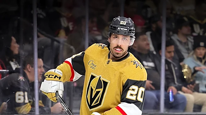 Vegas Golden Knights Embrace Controversial Strategy of Signing Players with Damaged Reputations