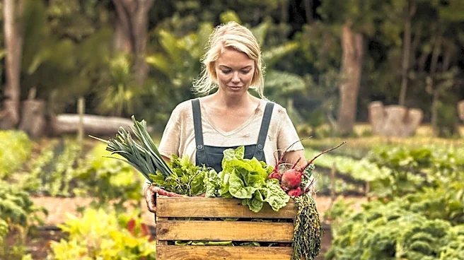 Organic Certification Verifies Farming Practices, Not Product Quality or Farmer Income