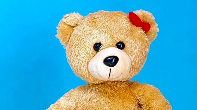 Rosen Law Firm Investigates Build-A-Bear Workshop, Inc. for Potential Securities Claims