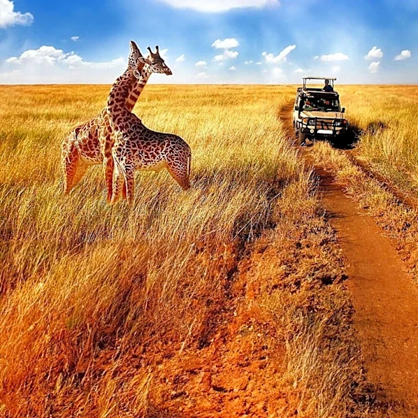 Hana Tour Zeus Launches Ultra-Luxury African Safari and Cultural Tour
