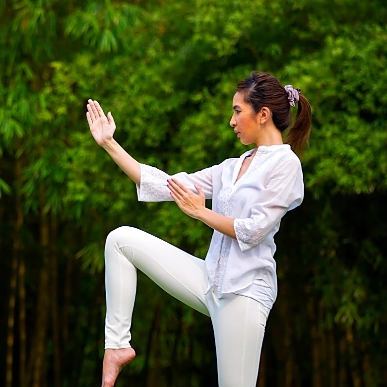 Tai Chi Expert Recommends 'Ice Stepping' Exercise for Fall Prevention and Improved Balance