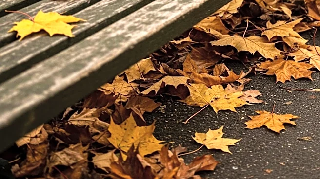 Columbia Pictures' 'When Harry Met Sally' Remains a Fall Staple and Rom-Com Benchmark